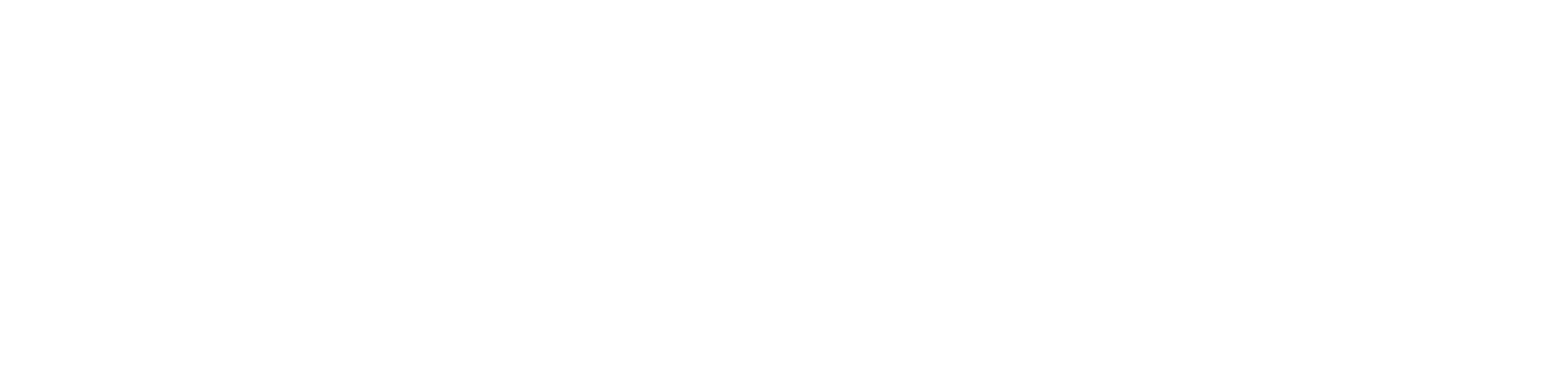 FraudOps logo